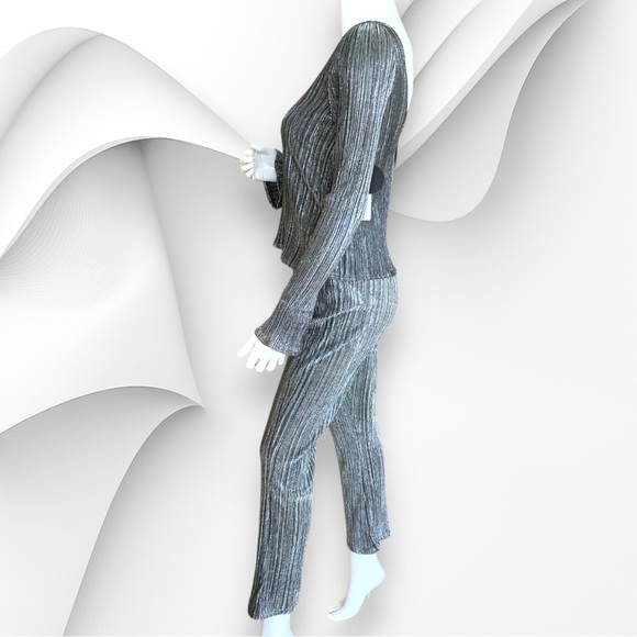 SOCIETY AMUSE SILVER METALLIC PLISSE PANTS & MATCHING TOP. WOMEN’S SIZE XS. NWT - Picture 4 of 11